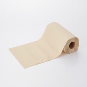 Paper Towel