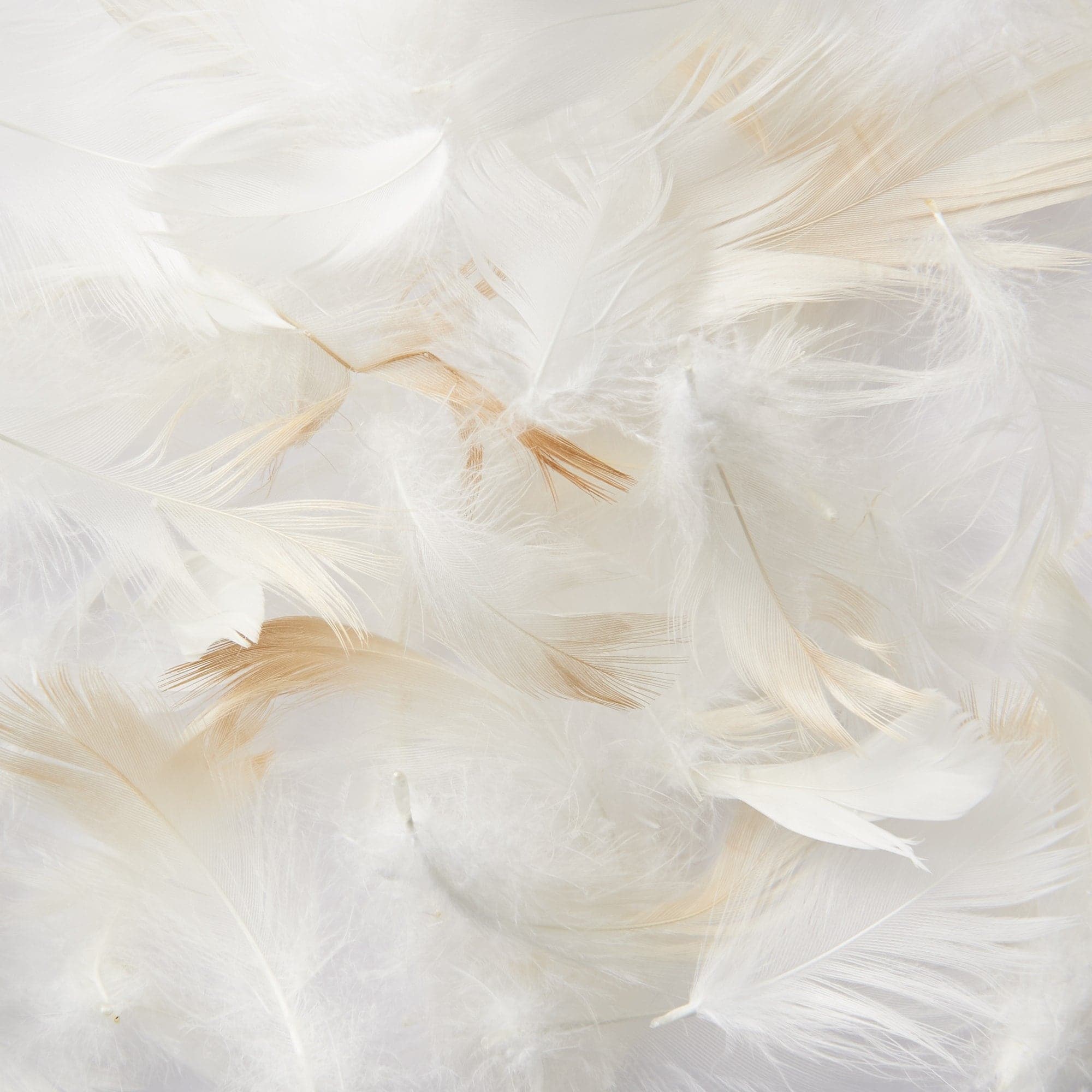 Feather Cushion Insert (21.7 x 23.2) - Image 2